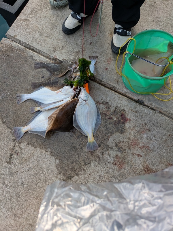 PXL_20250613_074710185_コピー