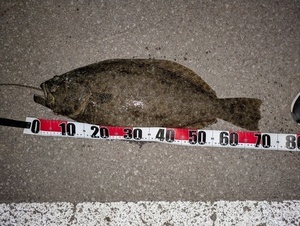 PXL_20250505_113847889_コピー_コピー